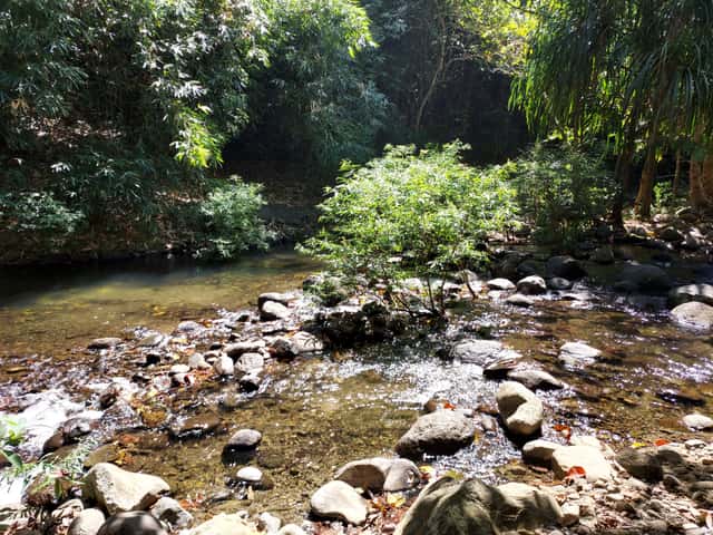beauty of nature
