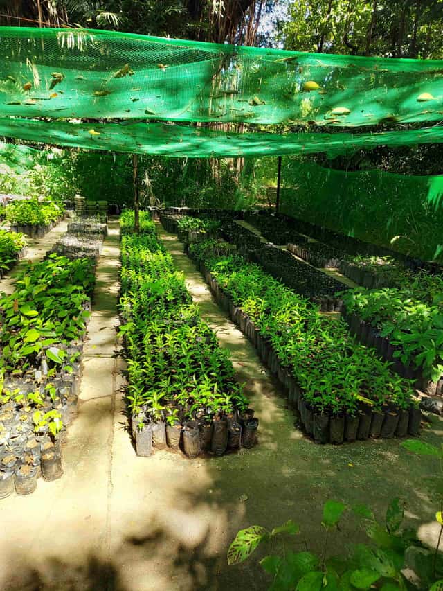 Nursery B
