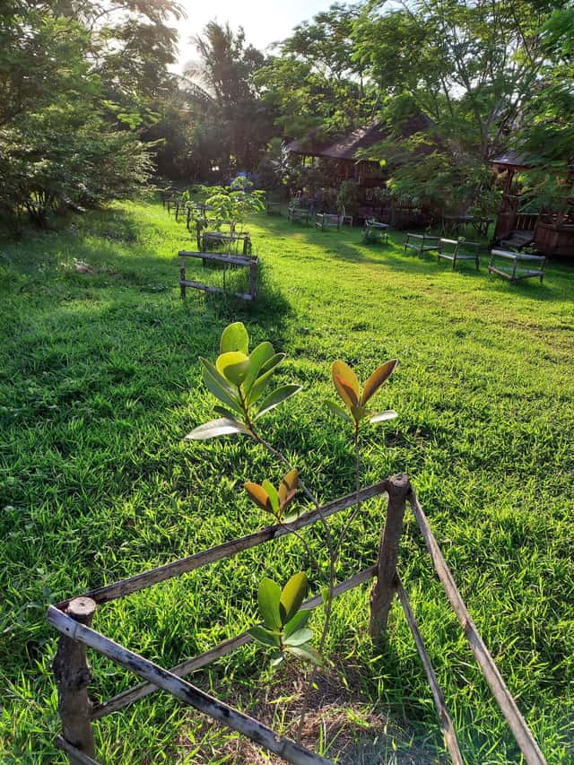 Nursery E