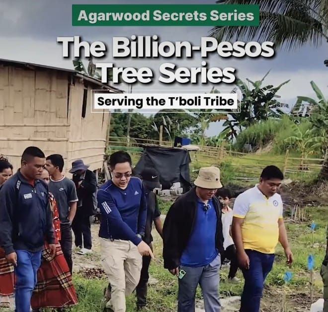 Let's talk about the Billion Peso Tree