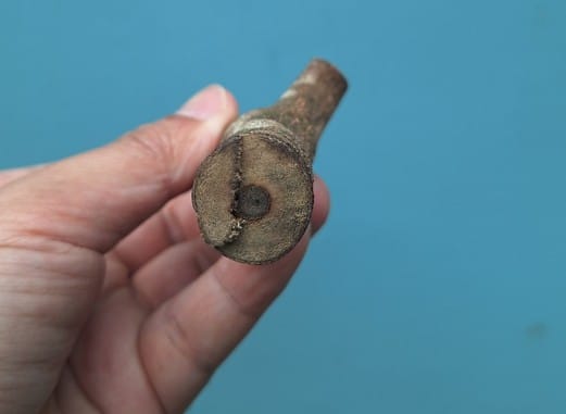The Ultimate Philippine Agarwood Guide: How to Start a Profitable Agarwood Business in the Philippines