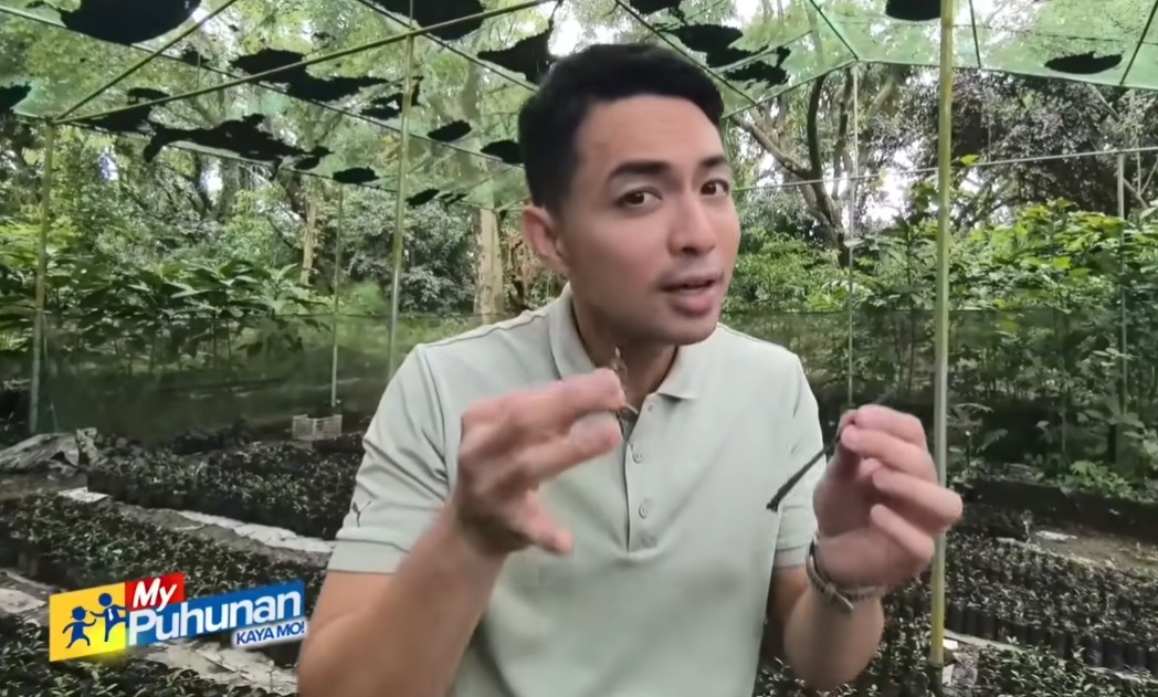 My Puhunan feature: “Bakit 400K pataas ang bentahan ng agarwood sa Pilipinas?”